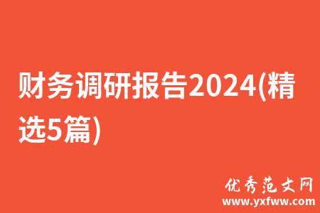 财务调研报告2024(精选5篇)