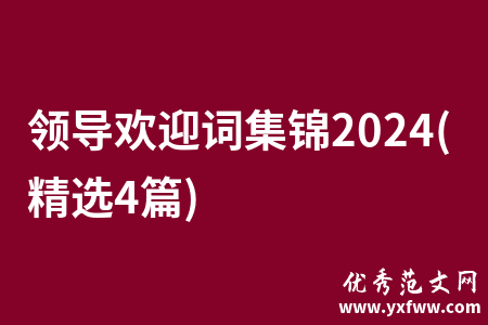 领导欢迎词集锦2024(精选4篇)