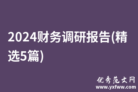 2024财务调研报告(精选5篇)