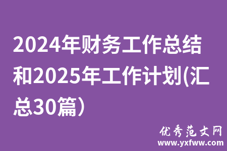 2024年财务工作总结和2025年工作计划(汇总30篇）
